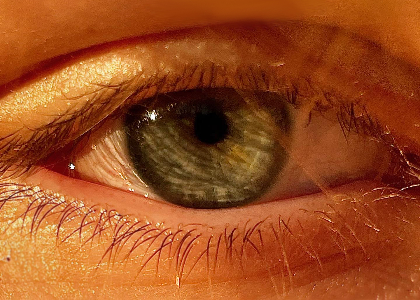 Auge im Sonnenlicht